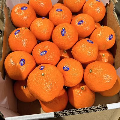【整箱】Daisy超甜澳柑 约9kg