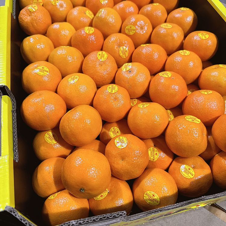 whole-casesuper-sweet-small-orange-whole-case-about-9kg-3