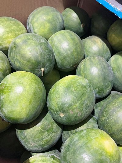 澳洲青皮西瓜 Watermelon 约3–4kg