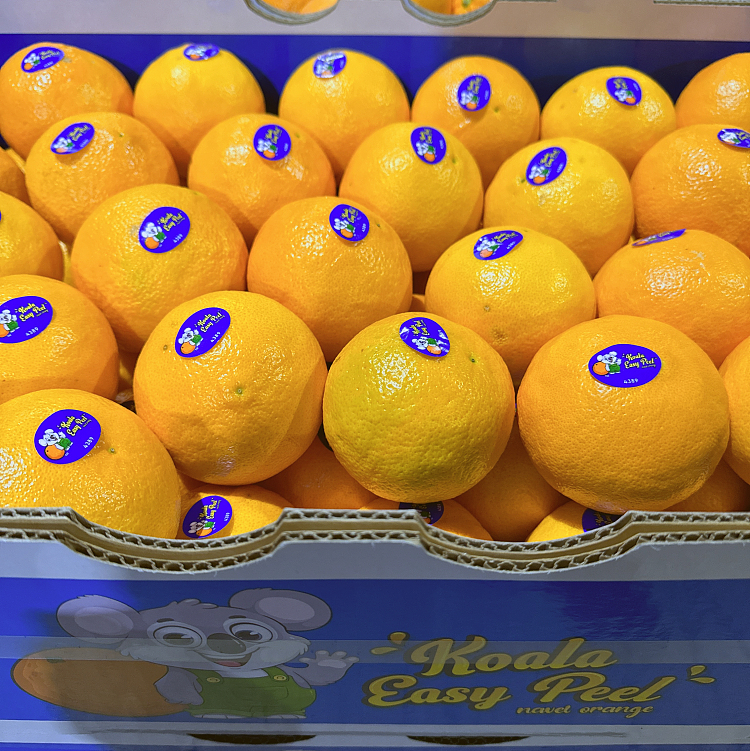 whole-carton-cara-hand-peeled-oranges-approx-15kg-1