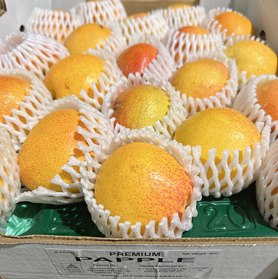 【整箱】苹果梨 约4kg