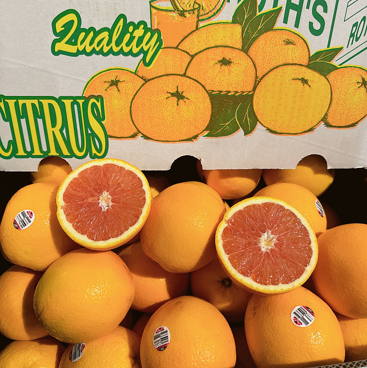 caracara-blood-oranges-15kg-1