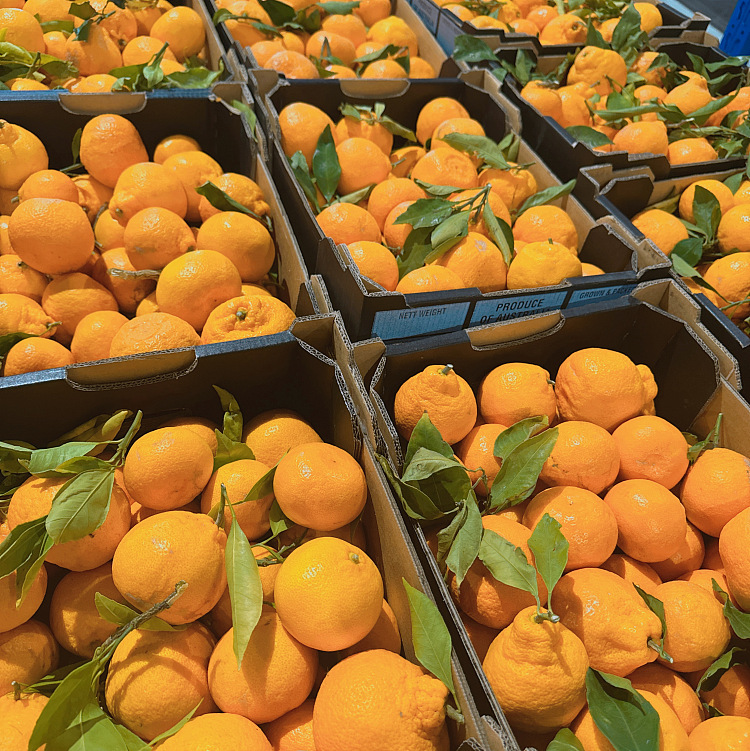 okitsu-seedless-mandarin-oranges-10kg-1