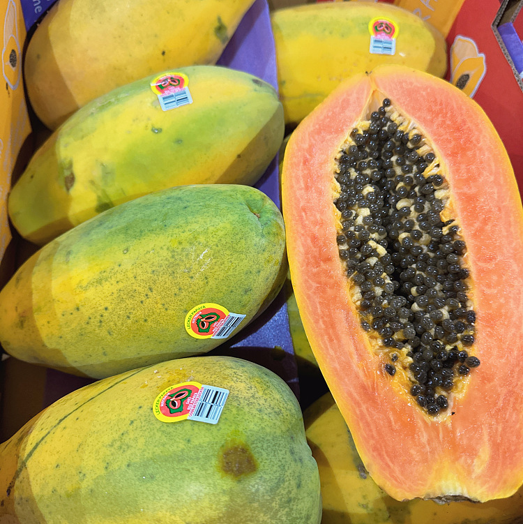 fresh-papaya-1pc-2
