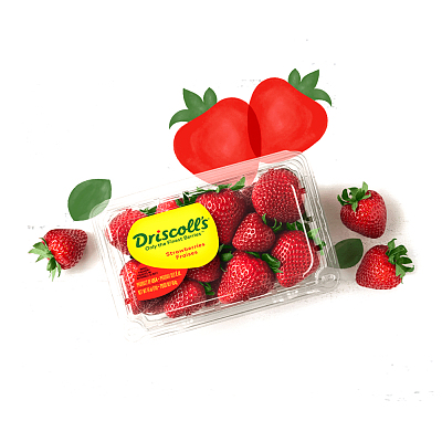 澳洲Driscoll’s草莓 Strawberry 1盒 约250g