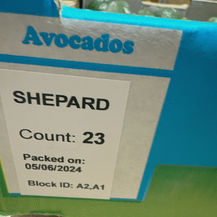 cartonavocado-size23-25pcs-2
