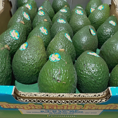 【原箱】澳洲牛油果 Avocado Size23-25个
