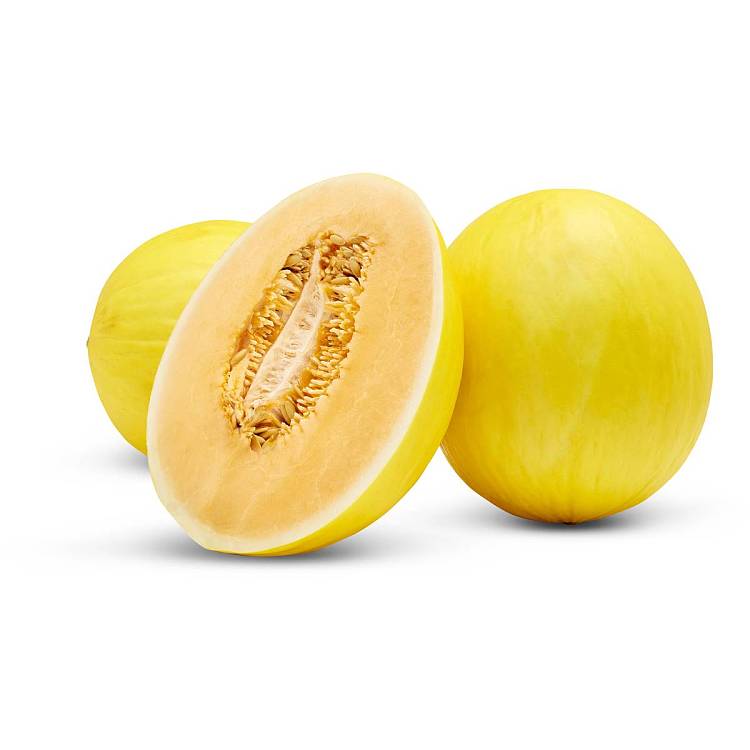 freshumall-self-supporting-oversized-candy-melon-1pc-1