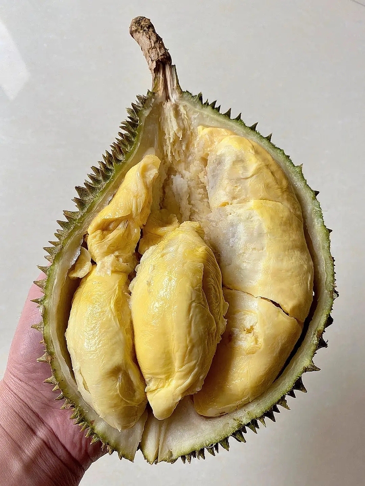frozen-d2-dato-nina-dream-lover-durian-approx-16kg-2
