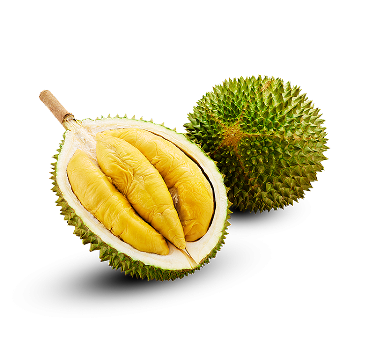 frozen-whole-elvis-presley-durian-about-12-13kg-in-mesh-pocket-1