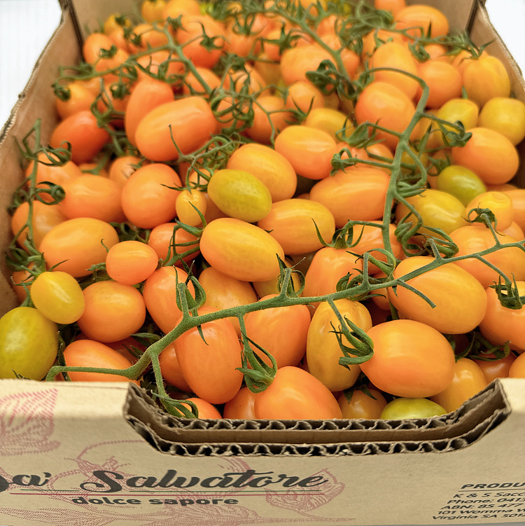 cartonapprox-5kg-of-yellow-tomatoes-with-branches-5