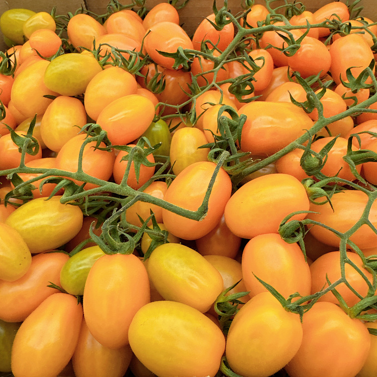 cartonapprox-5kg-of-yellow-tomatoes-with-branches-3