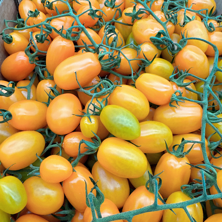 cartonapprox-5kg-of-yellow-tomatoes-with-branches-4