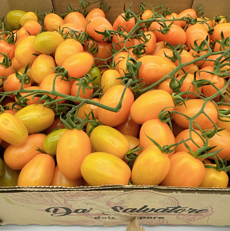 cartonapprox-5kg-of-yellow-tomatoes-with-branches-2