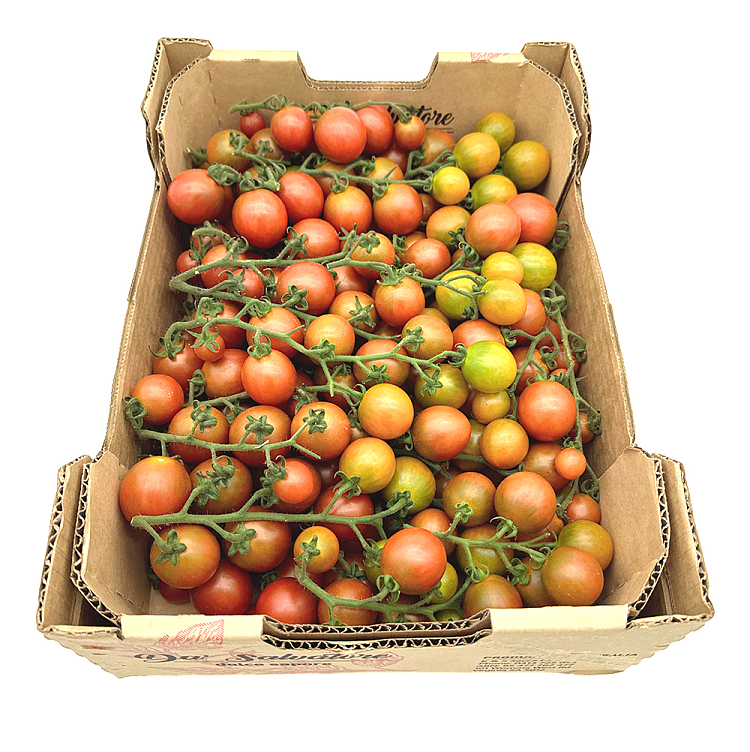 cartonscarlet-tomatoes-with-branches-approx-5kg-1