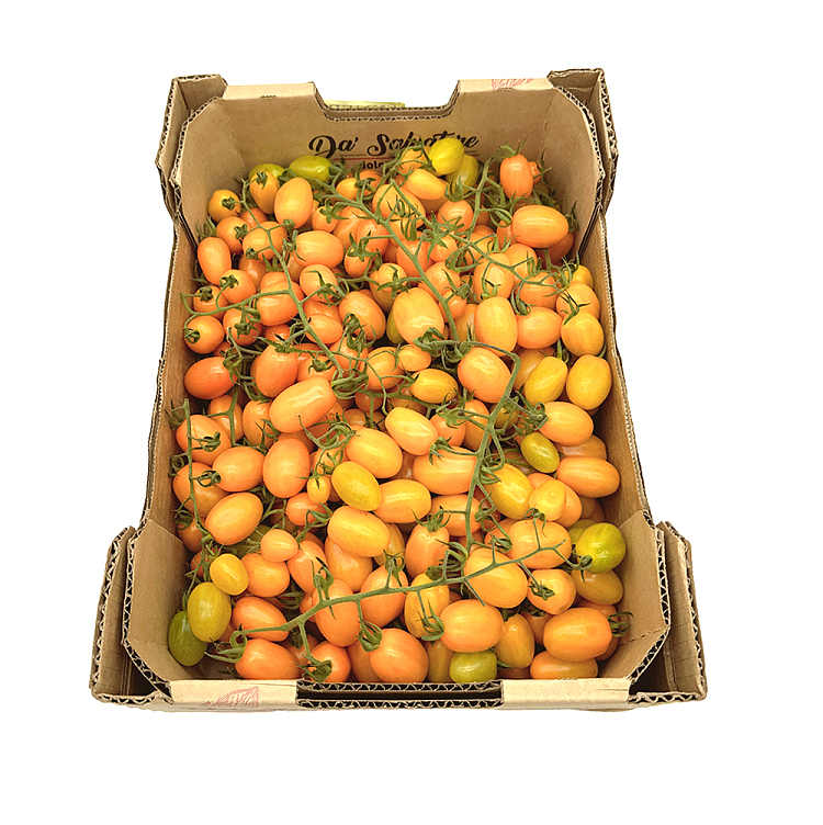 cartonapprox-5kg-of-yellow-tomatoes-with-branches-1