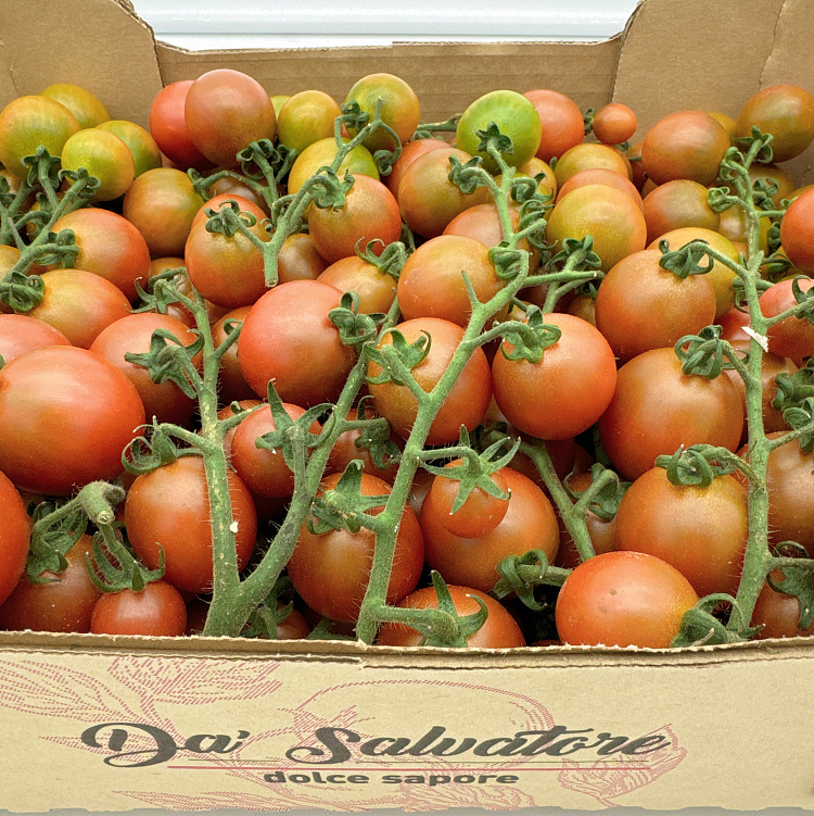 cartonscarlet-tomatoes-with-branches-approx-5kg-2