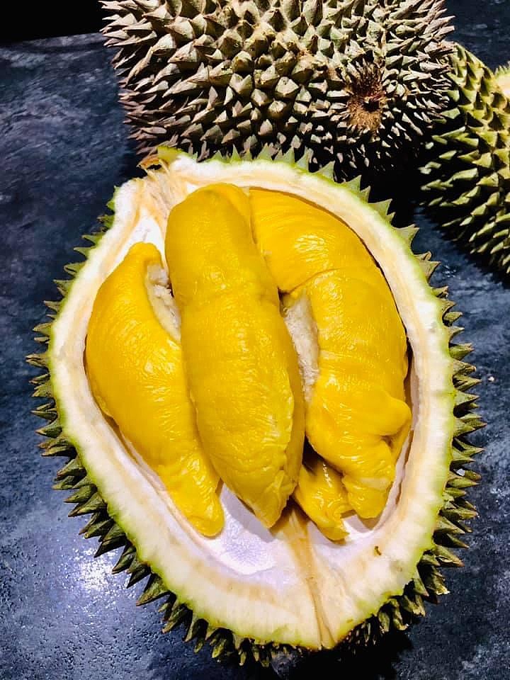d197-top-quality-malaysian-elvis-presley-durian-about-16-18kg-4