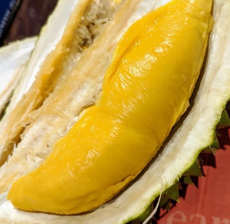 d197-top-quality-malaysian-elvis-presley-durian-about-16-18kg-3