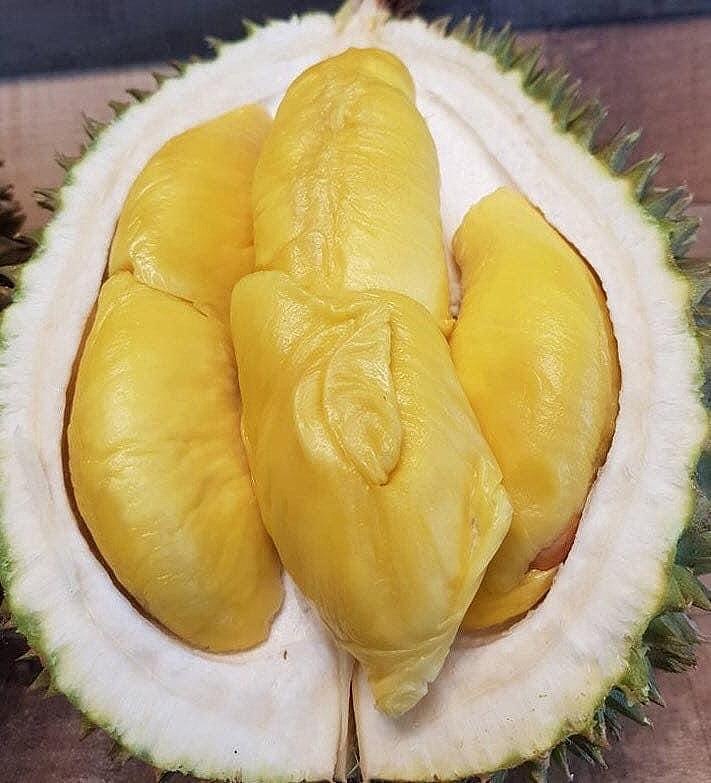 d197-top-quality-malaysian-elvis-presley-durian-about-16-18kg-5