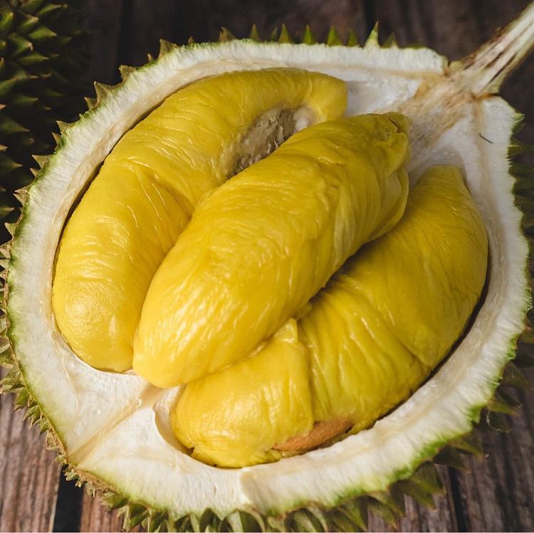 d197-top-quality-malaysian-elvis-presley-durian-about-16-18kg-1