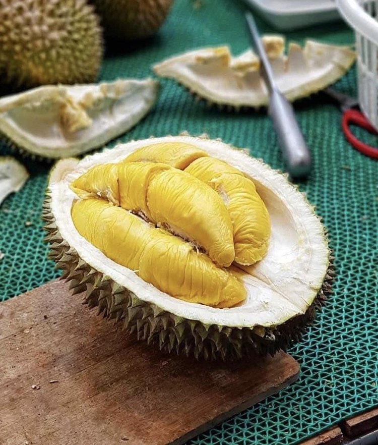 d197-top-quality-malaysian-elvis-presley-durian-about-16-18kg-6