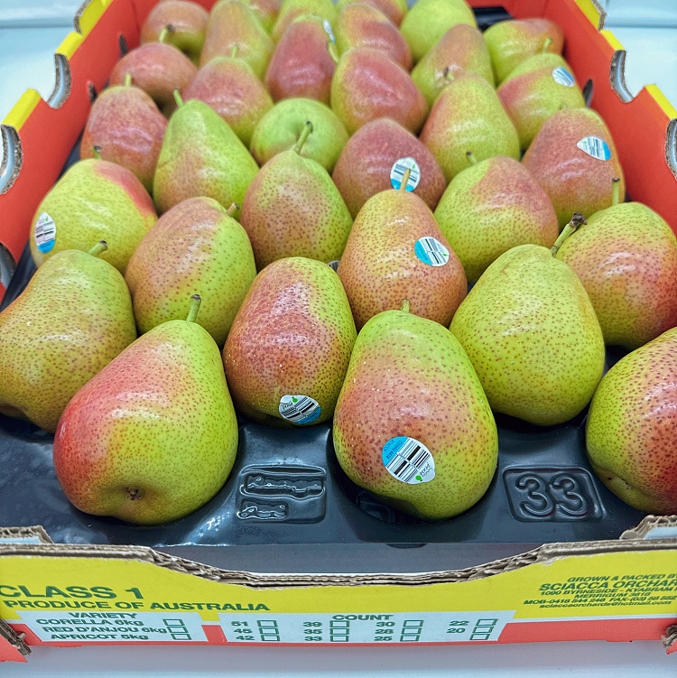 corella-sweet-pear-approx-09-1kg-2