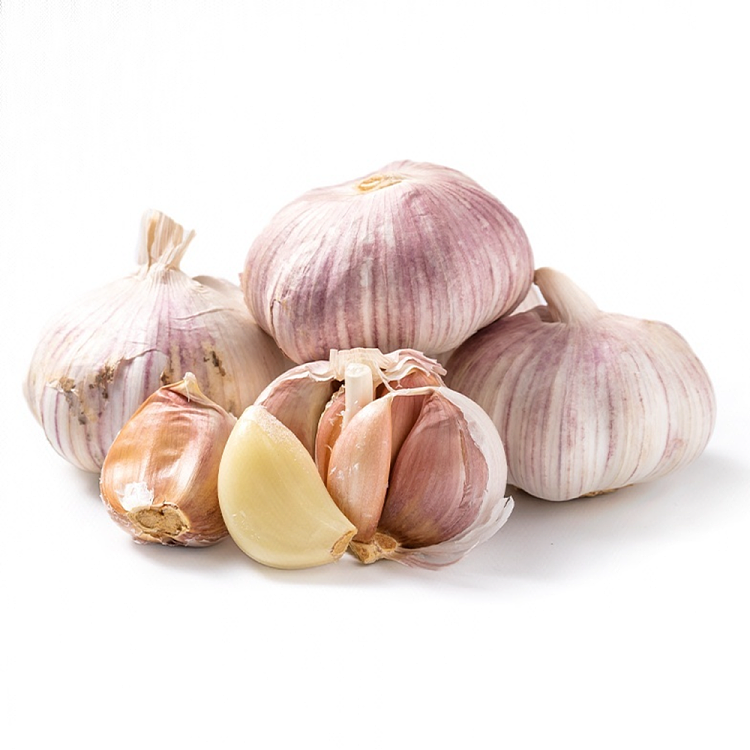 about-500g-of-purple-garlic-1