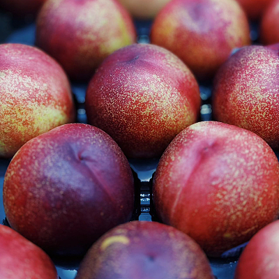 美国油桃 Nectarine 大号 2个