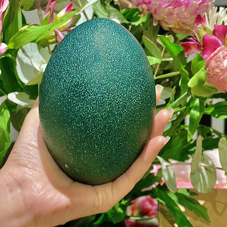 1-emu-egg-approx-490g-2