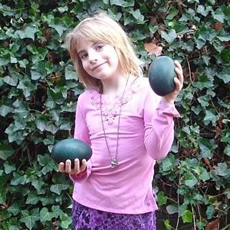 1-emu-egg-approx-490g-4
