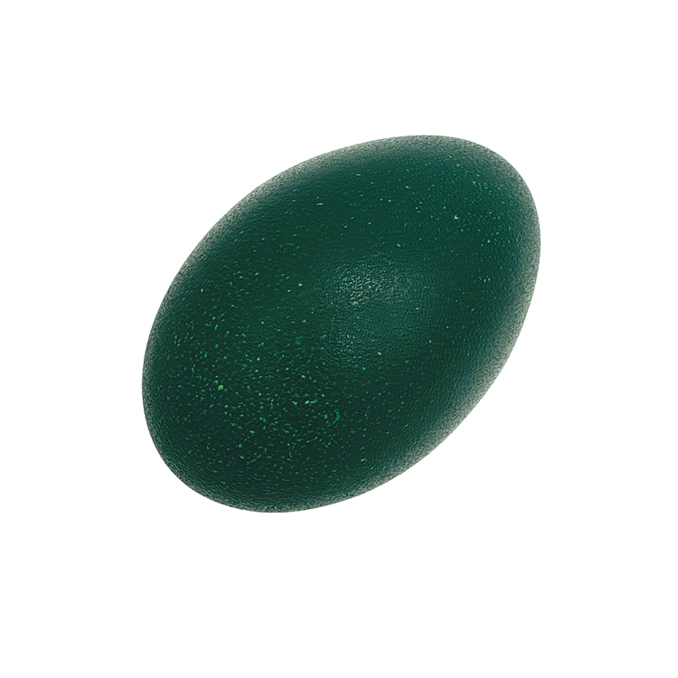 1-emu-egg-approx-490g-5