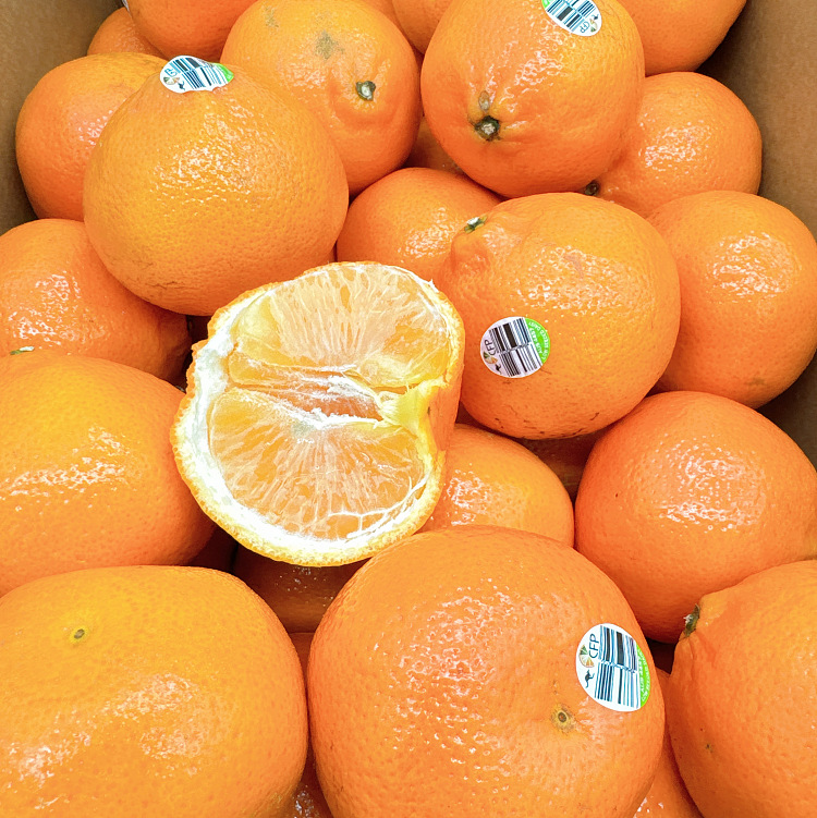 daisy-super-sweet-aussie-citrus-whole-case-size35-1