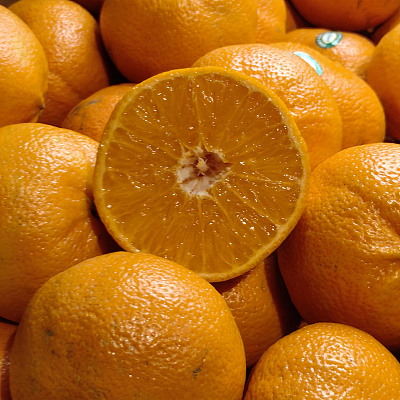 澳洲茂谷柑 Murcott Mandarin 约1kg