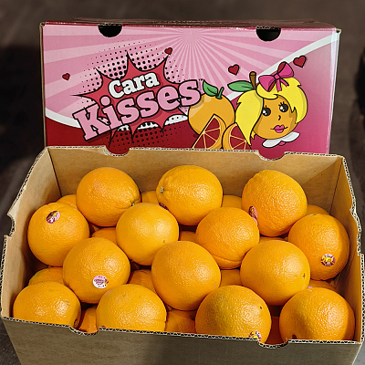 【原箱】澳洲Cara Cara血橙 Cara Cara Orange 约18kg