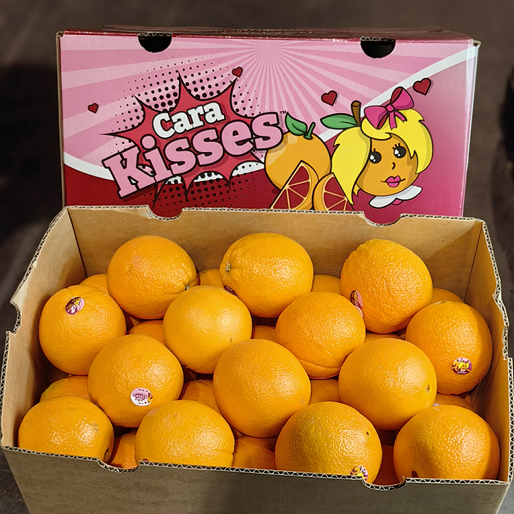 caracara-blood-orange-about-18kg-1