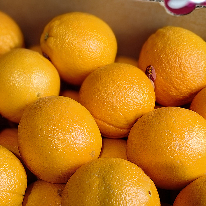 caracara-blood-orange-about-18kg-4