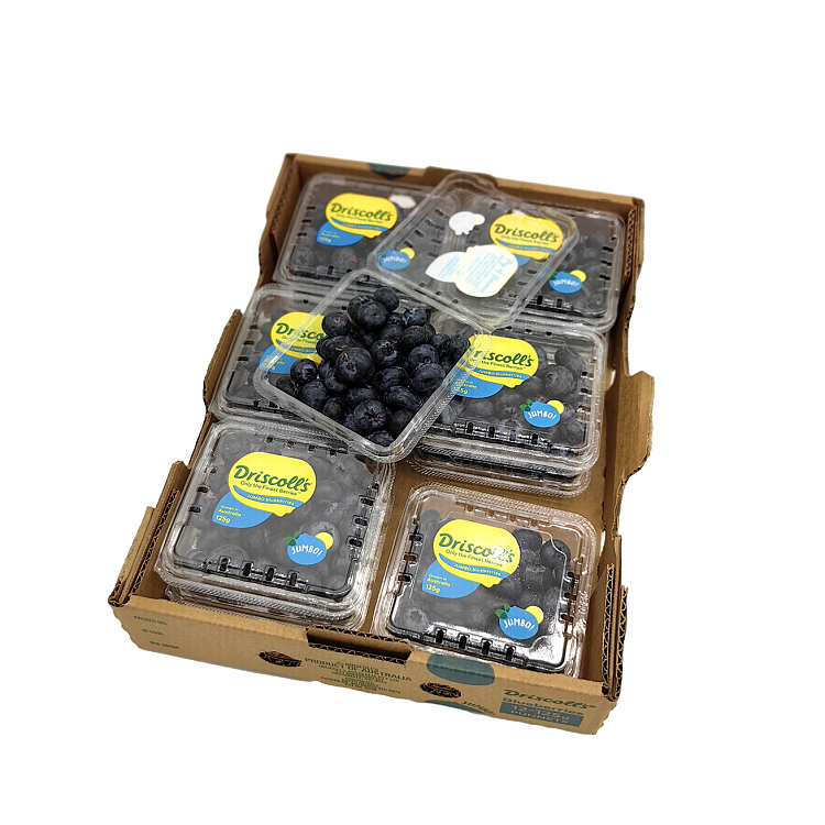 driscolls-blueberry-approx-125g-9