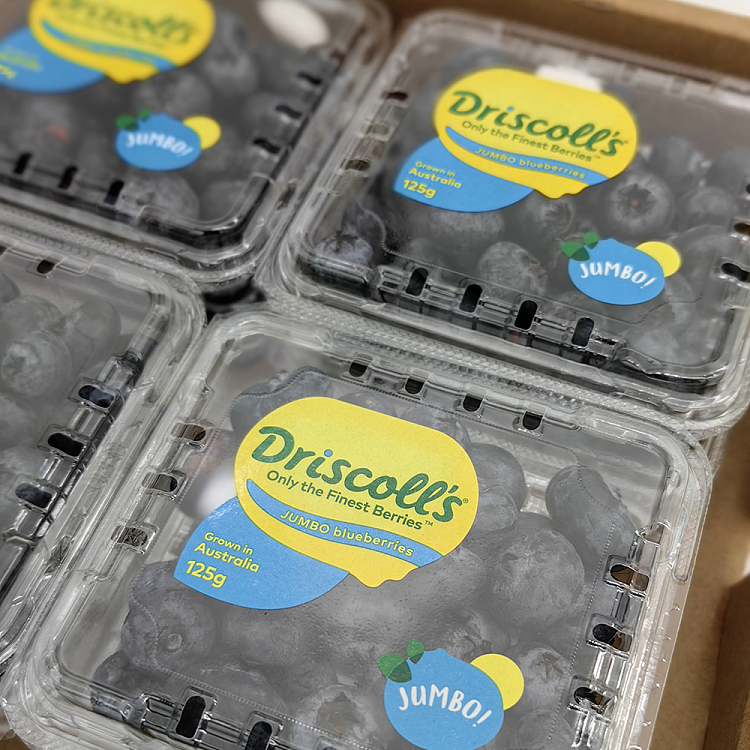 driscolls-blueberry-approx-125g-8