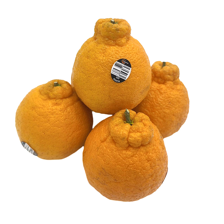 ugly-orange-2