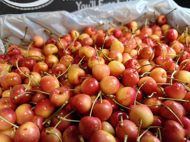 american-yellow-cherry-approx-500g-4