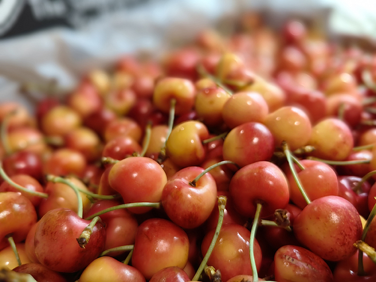american-yellow-cherry-approx-500g-3