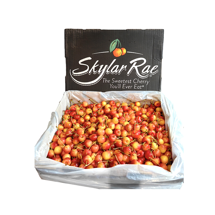 american-yellow-cherry-approx-500g-1