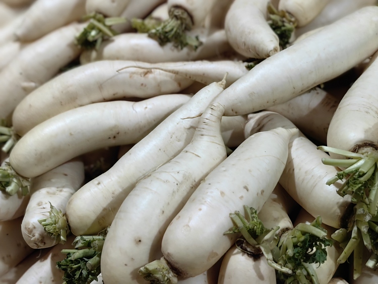 special-white-radish-1-1