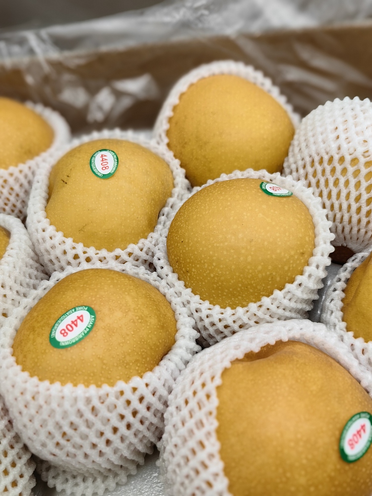 about-11-12kg-of-korean-new-takanashi-pear-4
