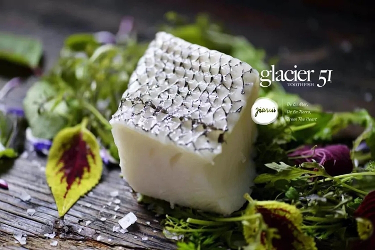 frozen-glacier-51-antarctic-glacier-toothfishdentex-about-150g-6