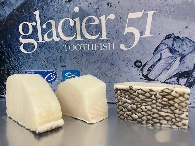 frozen-glacier-51-antarctic-glacier-toothfishdentex-about-150g-5