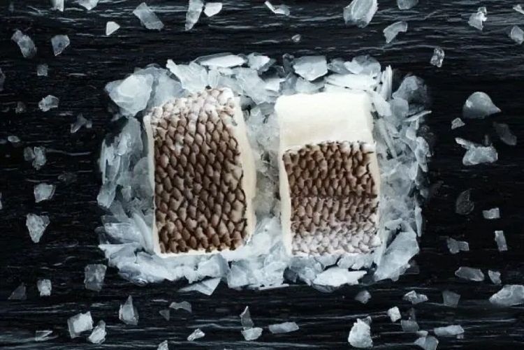 frozen-glacier-51-antarctic-glacier-toothfishdentex-about-150g-2