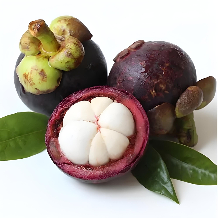 freshumalls-own-local-fresh-mangosteen-about-1kg-1