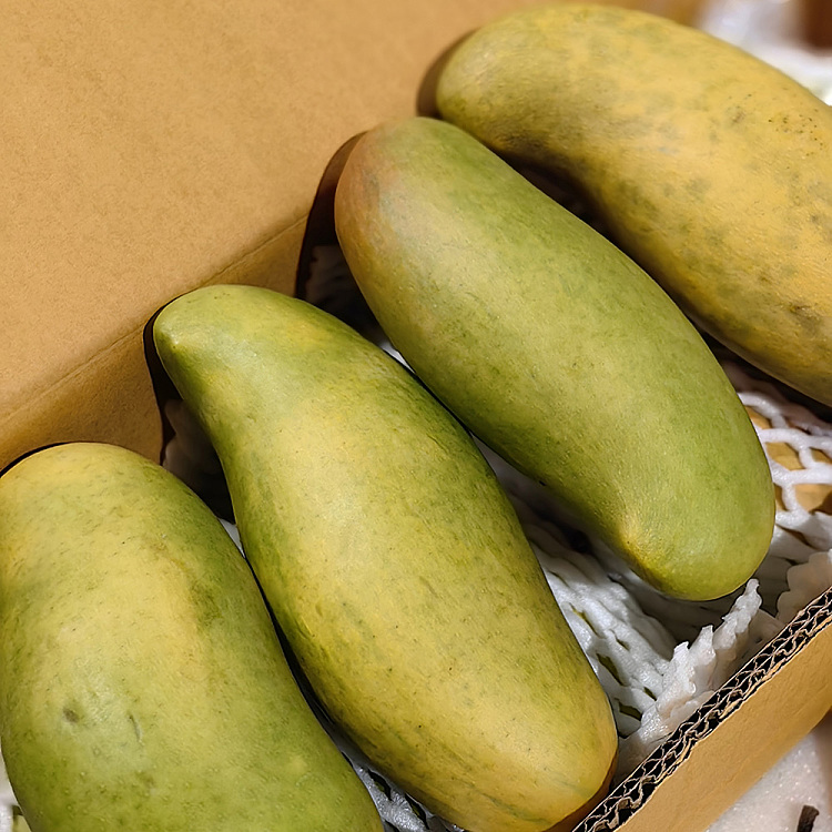thailand-imported-moon-bay-mango-2pcs-2